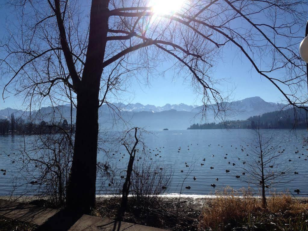 Villa Maria Lucerne ภายนอก รูปภาพ